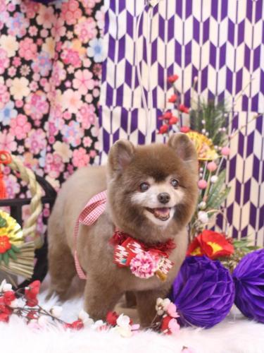 20250113クッキーくん